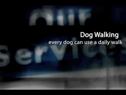 walking pez Video: Wheaton - Dogs Love Running! pet care services