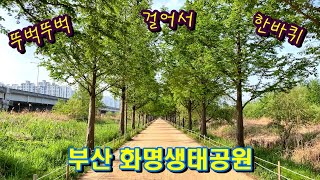 화명생태공원 전망데크 영상