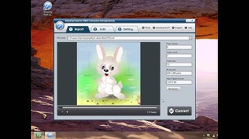 Amazing Flash to WMV Converter Tutorial