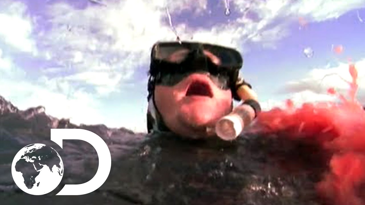 Eaten Alive - Shark Sneak Attack - YouTube