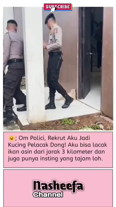 🐈: Dari Tadi Gw Dianggurin Aja, Apa GK Ada Yg Mau 'Hallo Dek' Gitu #kucing #polisi #fyp