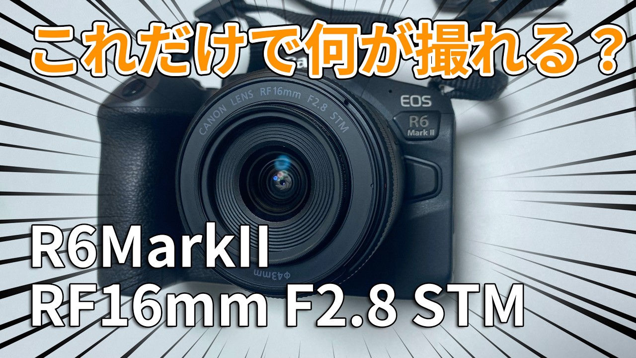 【カメラ】R6 MarkIIとRF16mm F2.8 STMだけで何が撮れるのか(アホ)【Canon】