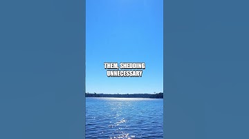 Fueling Goals with Focused Introspection