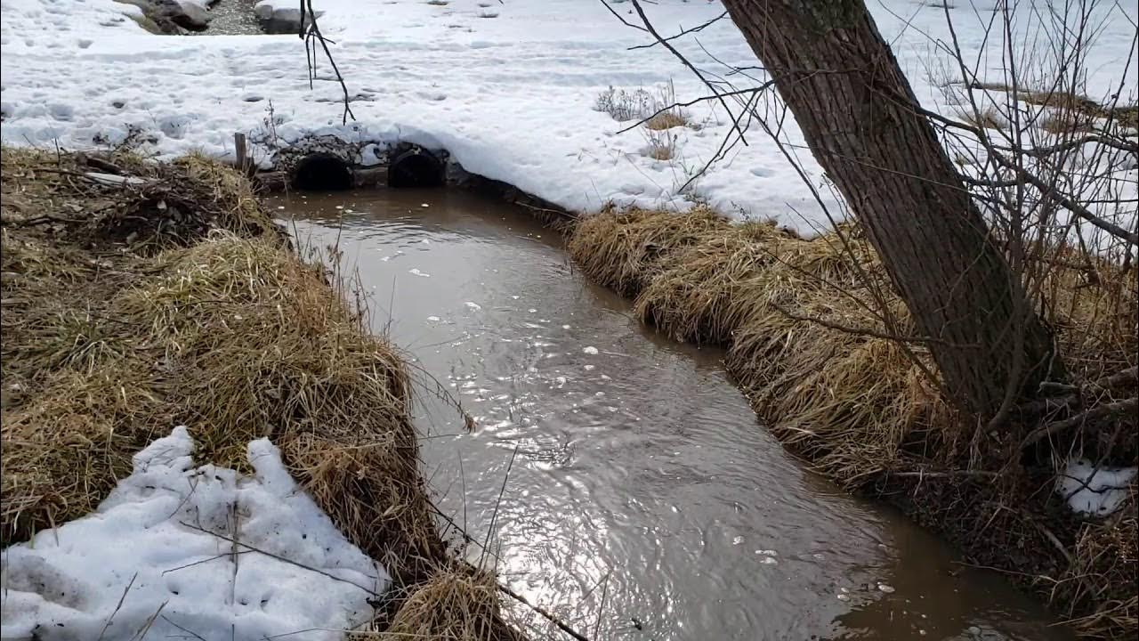 Arrowsmith Farm Creek Crossing Culverts and Snow Melt YouTube