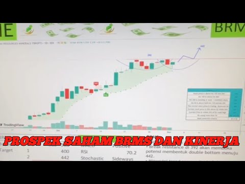 BAHAS PROSPEK SAHAM BRMS