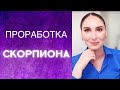 СКОРПИОН, КАК СЕБЯ ПРОРАБОТАТЬ НА ПСИХОЛОГИЧЕСКОМ И ФИЗИЧЕСКОМ УРОВНЕ?