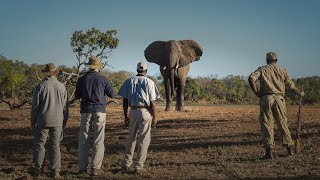 Zambia | The Home of the Walking Safari