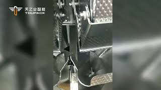 Frozen dumplings weighing and packing system solutions & Fully-automatic Net Bag Packing Machine
