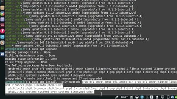 The following packages have been kept back - SOLUTION