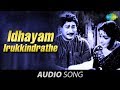 Pazhani | Idhayam Irukkindrathe song
