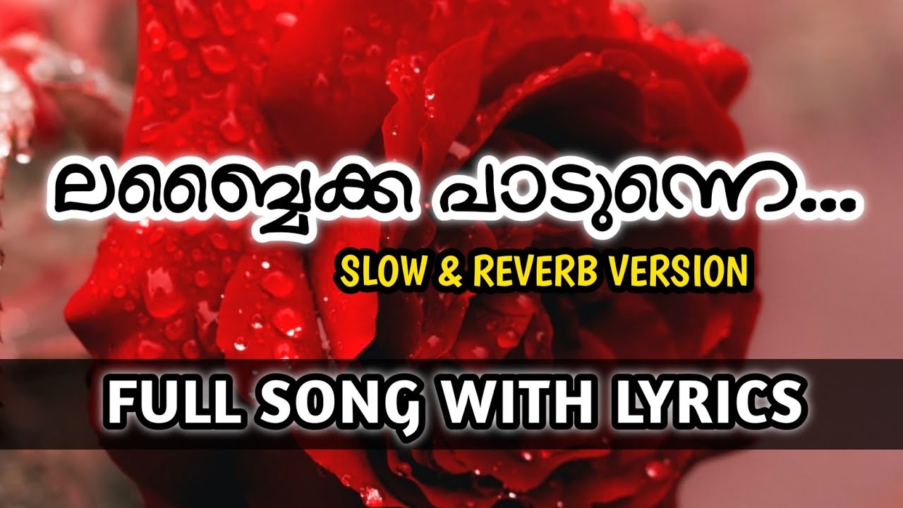 Labbaika Padunnu Song  Nabidina Song 2023  Lyrics  Nabidina Song Lyrics Malayalam