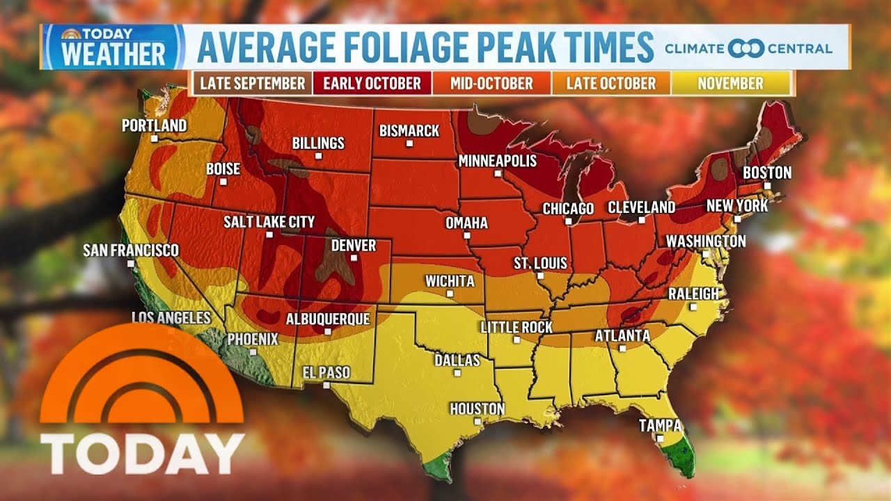Peak foliage times across the US for 2023 - YouTube