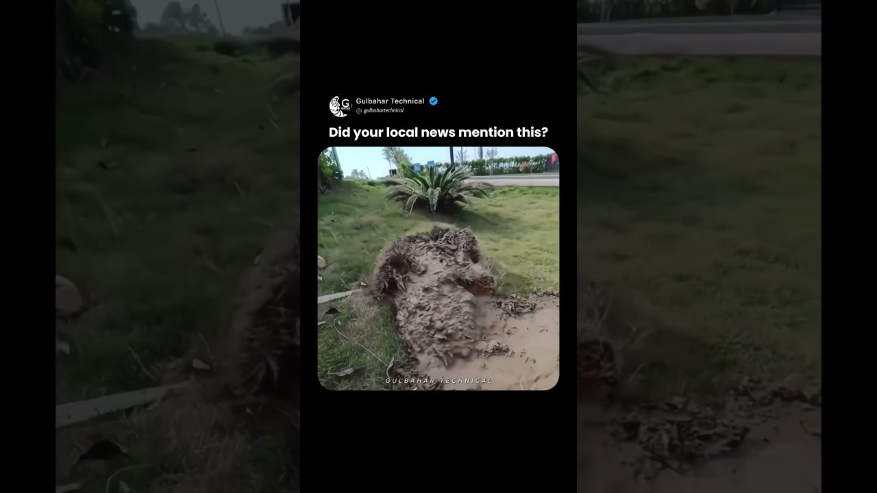 When The Ground Starts Breathing Unexpected Mud Flow Emerges 