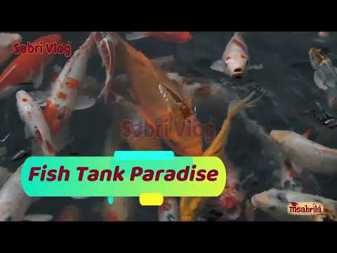 Cute Fish Tank – Relaxing Aquarium #viral #fishtank #trending #video #youtube #SabriVlog #sabri_vlog