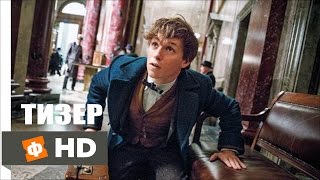 ФАНТАСТИЧЕСКИЕ ТВАРИ И ГДЕ ОНИ ОБИТАЮТ - Русский Тизер -Трейлер (2016) ФАНТАСТИЧЕСКИЕ ТВАРИ И ГДЕ ОНИ ОБИТАЮТ - Русский Тизер -Трейлер (2016)
