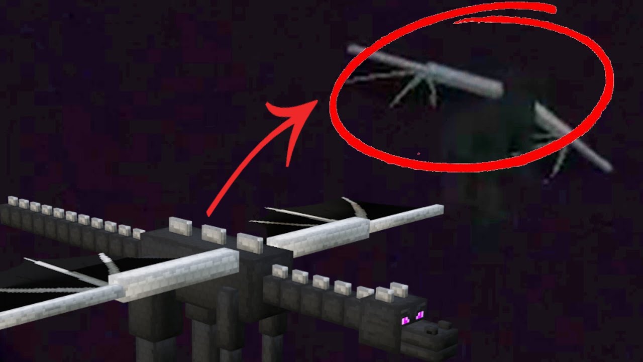 Bedrock is so broken the Ender Dragon can't even TPose Properly YouTube