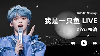 ZiYu 梓渝 Nanjing Concert - I Am a Fish -  4K 。唯愿你前路坦荡，获尽你所应得的万千美好。