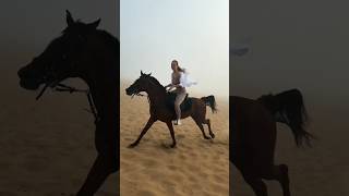 girl and horse 🐎 #shorts #trending #youtubeshorts #viralvideo #short #music #viral #shortvideo #mix