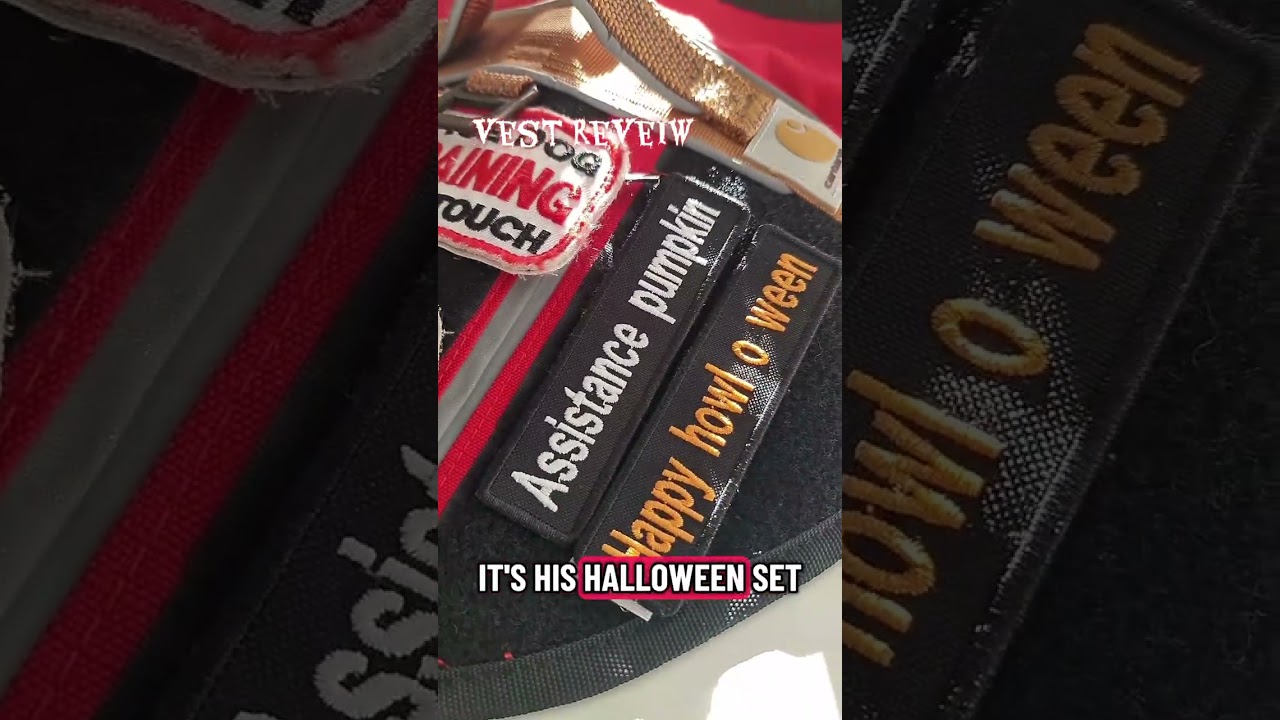 Assistance dog vest reveiw; amozon red vest (Does anyone want an assistance dog vest tour?)