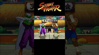 Piccolo Vs Sagat