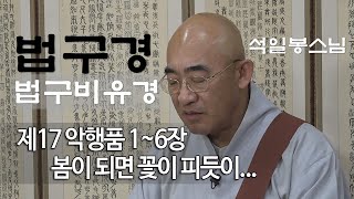 법구경 제72회 - 악행품 1~ 6장... 겨울지나 봄이 되면 꽃이 피듯이...