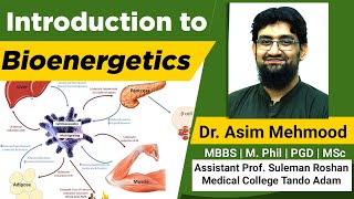 Introduction to Bioenergetics and ATP ( Hindi / Urdu ) screenshot 2