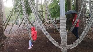 New Forest Wildlife Park And Salisbury Town Cathedral Orasul Salisbury Si Parcul Wildlife Uk