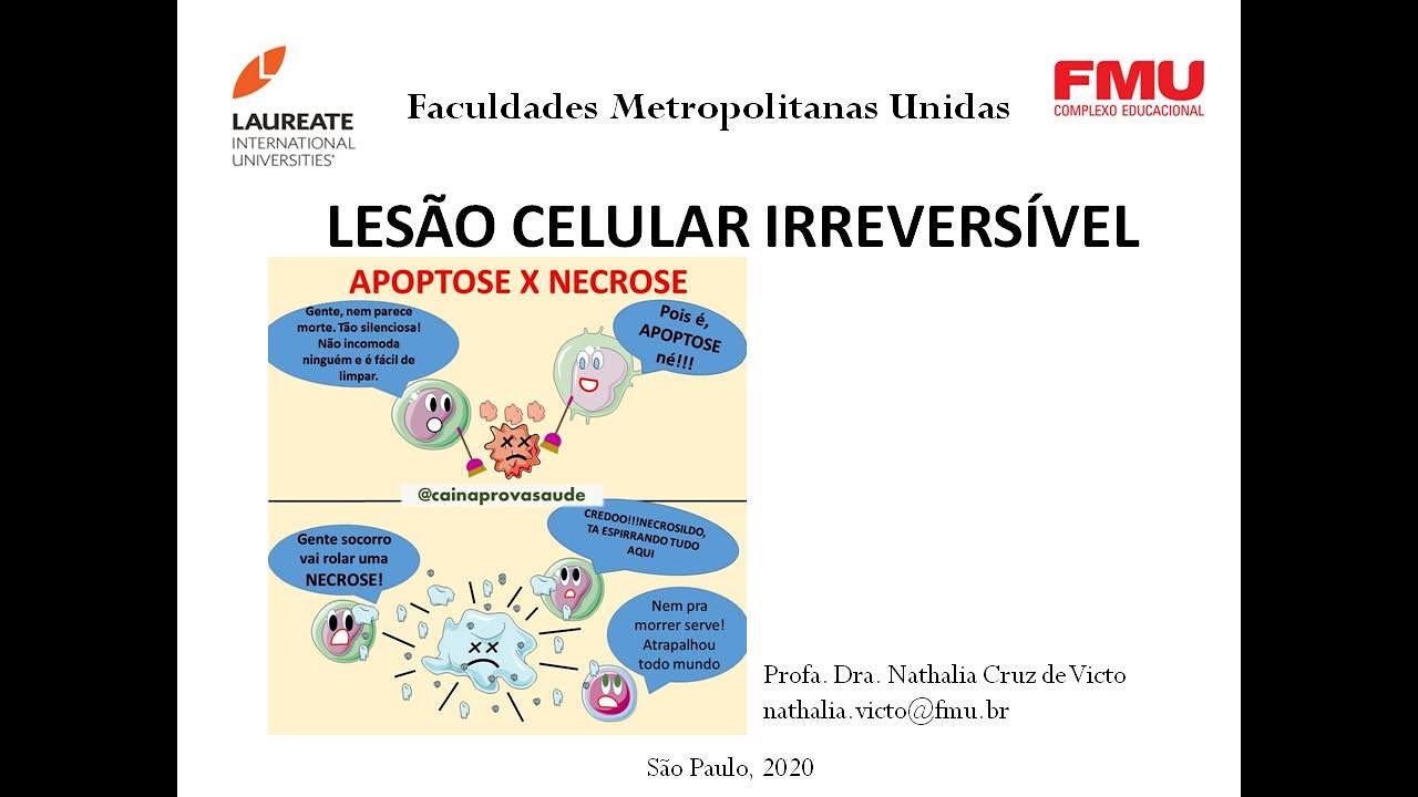 Assinale A Alternativa Correta Na Definição De Lesão Celular Irreversível