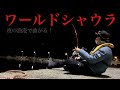 買ったばかりのワールドシャウラがブチ曲がり！？夜の漁港で何が釣れた？？