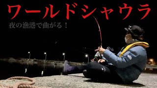 買ったばかりのワールドシャウラがブチ曲がり！？夜の漁港で何が釣れた？？