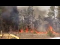 Texas Wildfires