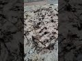 table top            #explore #tiles #marble #design #viral #views #trend #trending #trendingshorts