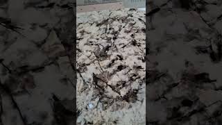 table top #explore #tiles #marble #design #viral #views #trend #trending #trendingshorts