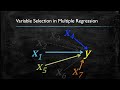 Video 6: Variable Selection