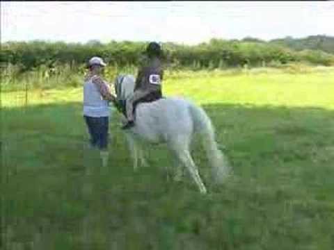 Sparky & Henry - Handy Pony