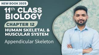 11th Class Biology Chapter 12 | Appendicular Skeleton | 11th Class New Book 2025