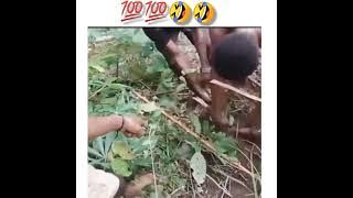 Pacarmu ganteng? bisa cabut singkong tidak? |Terngakak