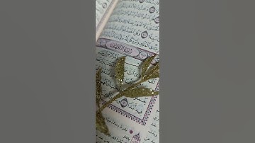 لا تنسوا الصلاة على النبي 💚 وقراءة سورة الكهف ❤ فاليوم الجمعة✨💚