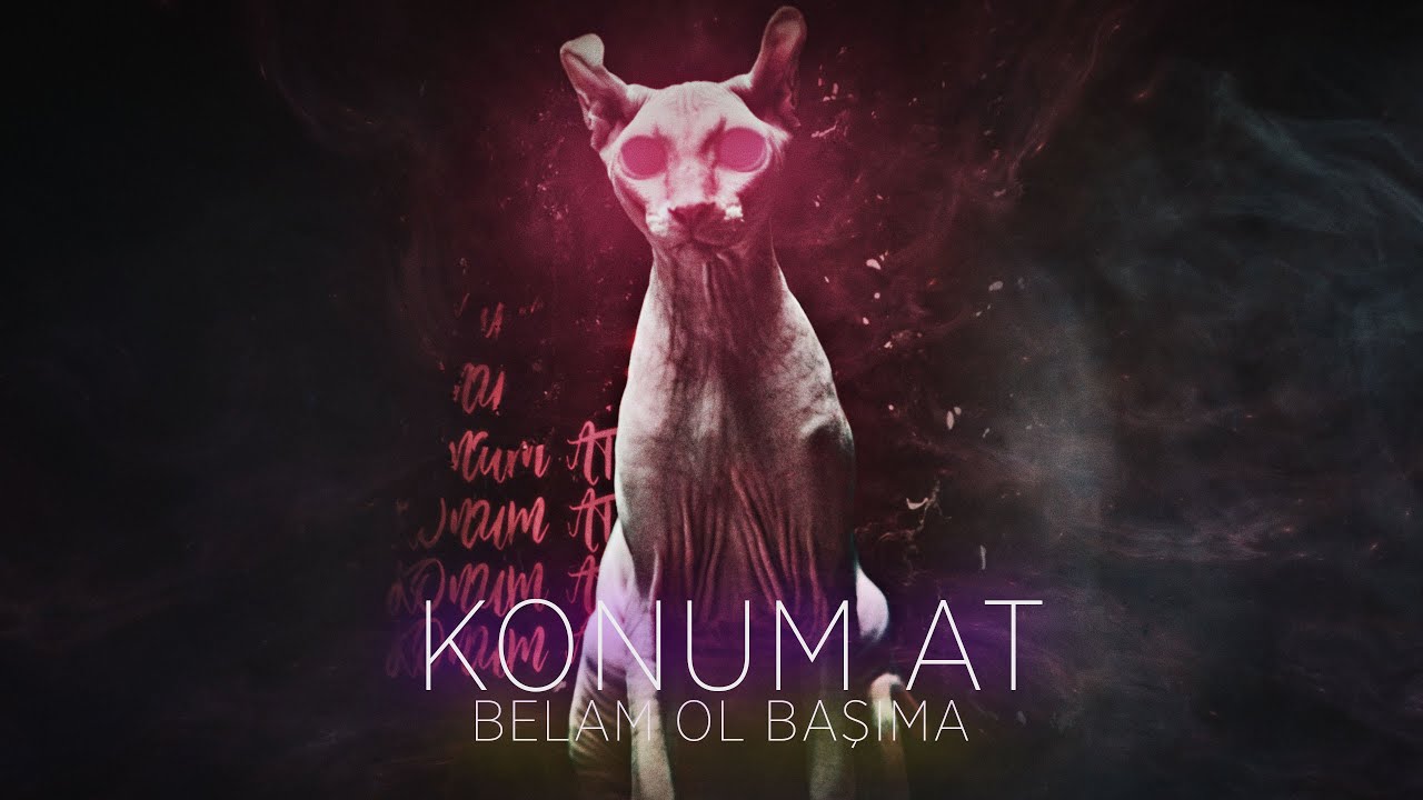 An  Eren   Belam Ol Bama Her Yanm Kan Official Lyric Video