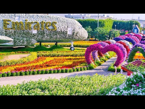 Dubai miracle garden/dubai miracle park#HW76vlogs#Dubai