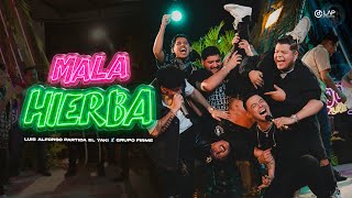 Luis Alfonso Partida "El Yaki" + Grupo Firme - Mala Hierba (VIDEO OFICIAL)