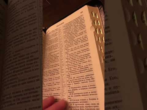 Мудрый совет из