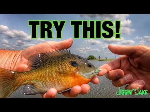 Bluegill Fishing Tips - How To Locate and Catch BIG Bluegill - CATCH, CLEAN and COOK