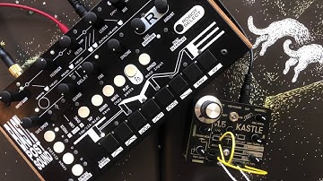 THYME | #15 - Absorption.