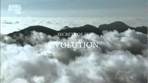 Mutant Planet (fanmade trailer) by LK.mkv