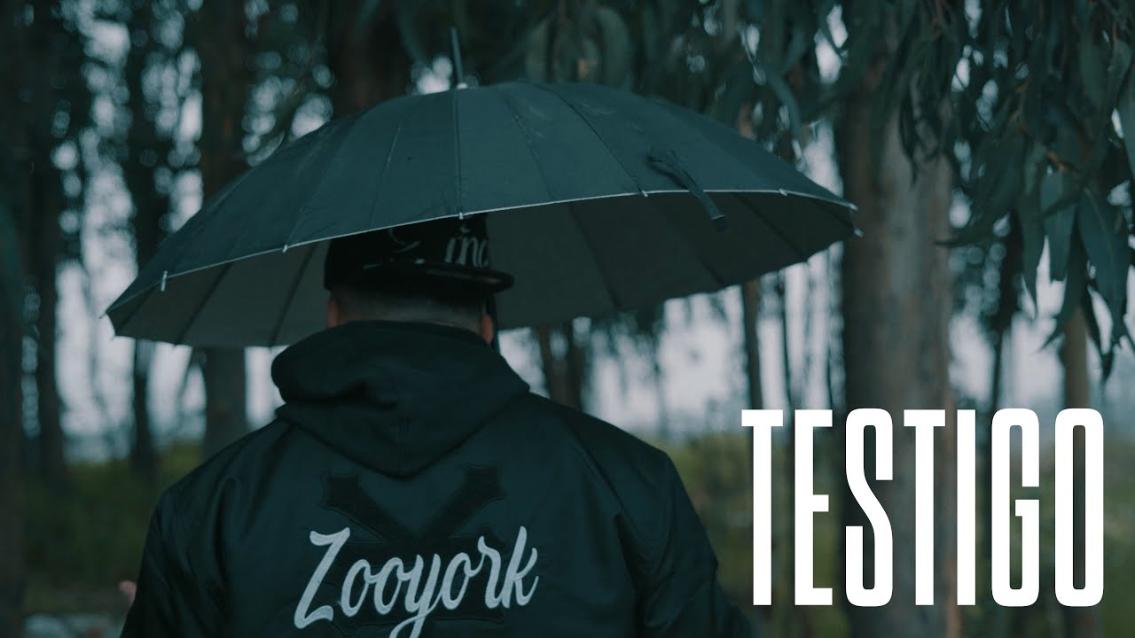 Watch Luis Omar & Pablo Ignacio - Testigo (Visualizer) on YouTube Watch Luis Omar & Pablo Ignacio - Testigo (Visualizer) on YouTube