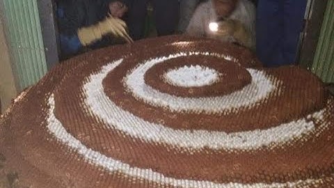 Bắt Tổ Ong Bắp Cày Khủng Tây Bắc 100Kg | Khám phá tây bắc