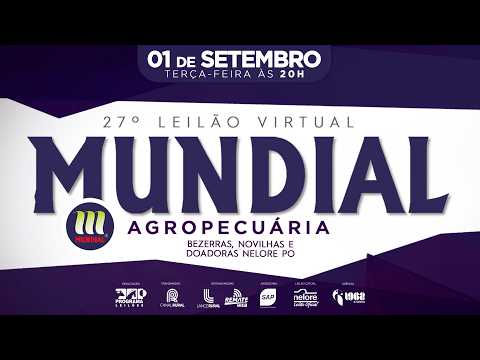 LOTE 12   MUN 5179