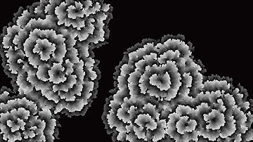 Simple Cellular Automaton 2