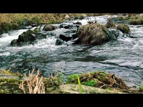 【ASMR／自然音】Healing Video and natural song, Sonido de Rio Para Dormir, Descansar　川のせせらぎ【島根のいいとこリモート旅行】